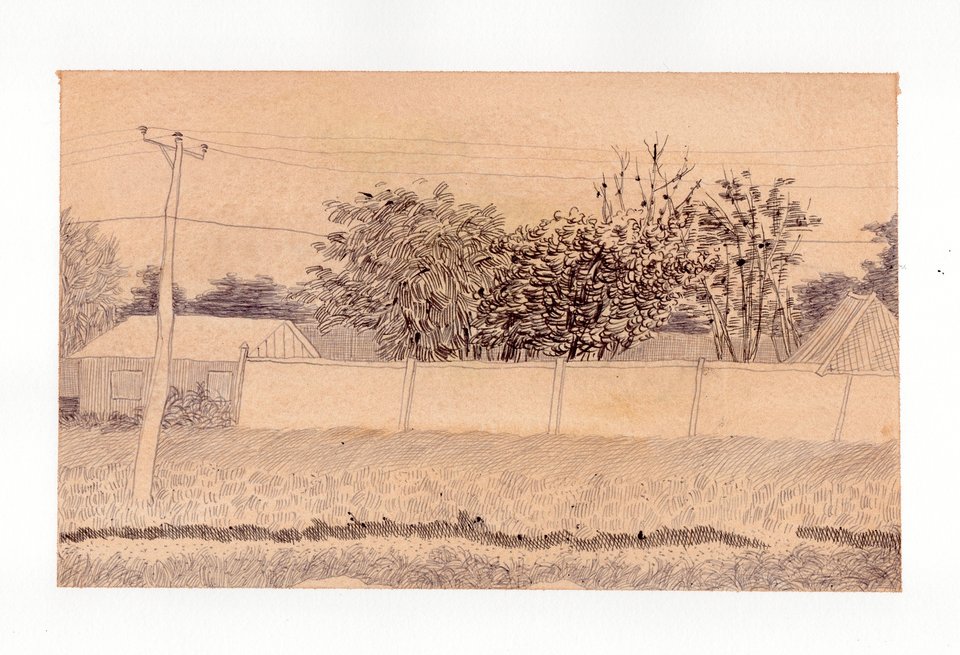 草原的赞歌是我的心跳,绘画